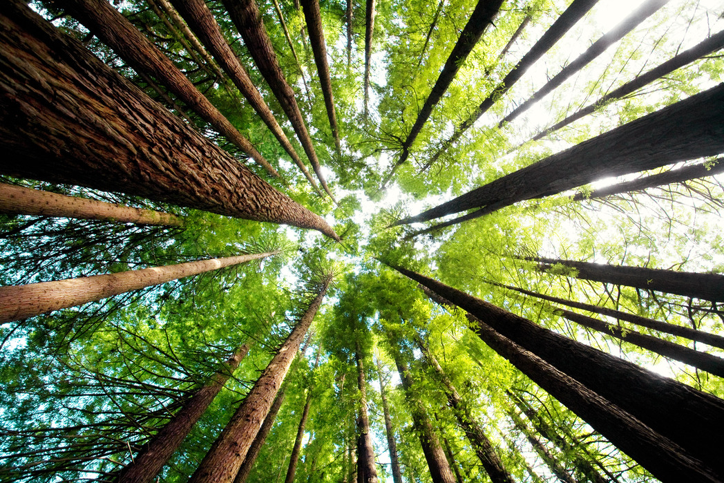 Mindfulness.hr — Centar za mindfulness